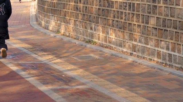People walking along a brick wall path