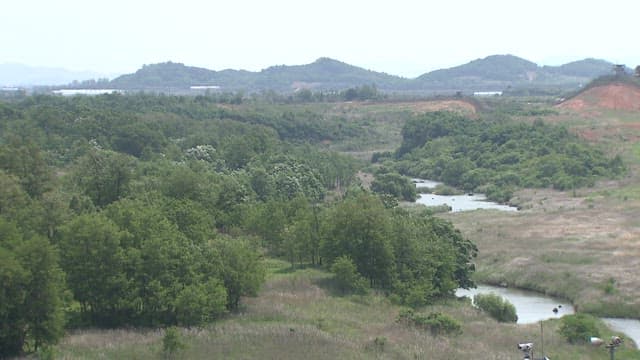 Serene Natural Landscape with River and Foliage