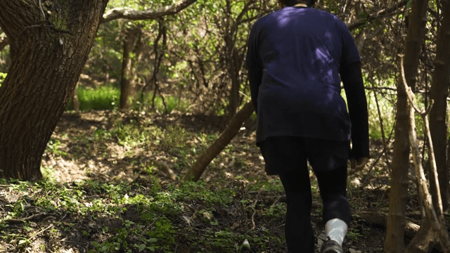 Person Walking Through a Sunlit Forest