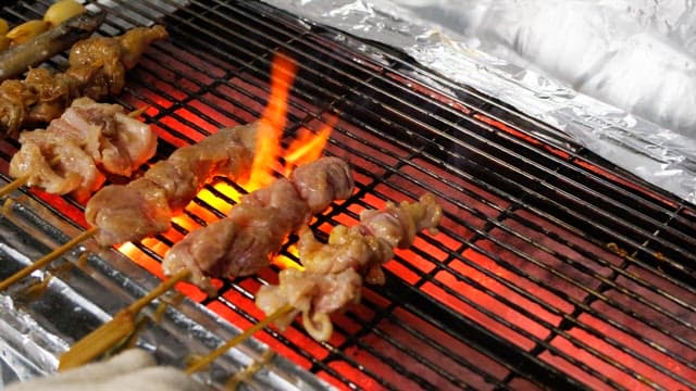 Skewered meat grilling over hot coals