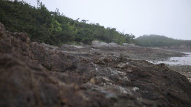 Misty Coastal Landscape with Rocky Beach