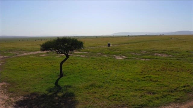 Vehicle Traveling Across Open Grassland