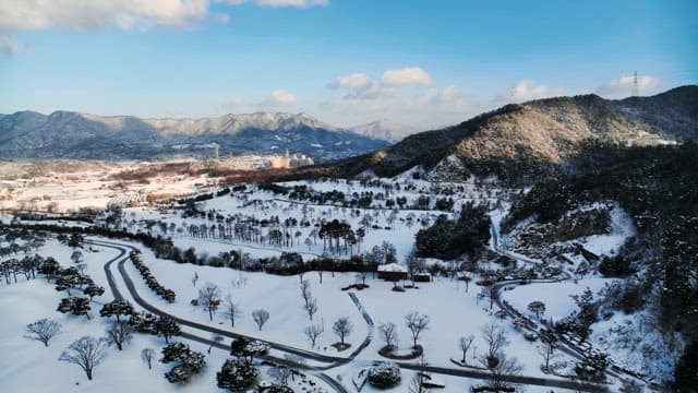 Winter Landscape with Snow-Covered Trees and Hills