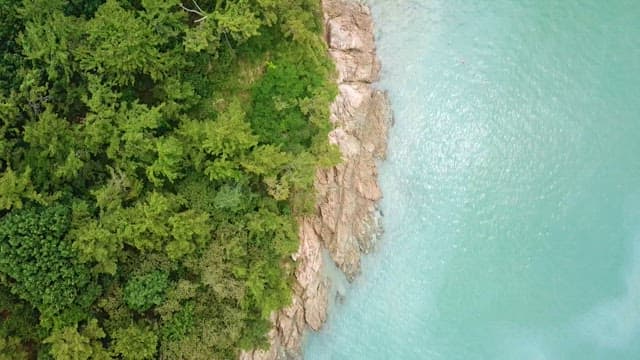 Coastline between emerald sea and lush forest