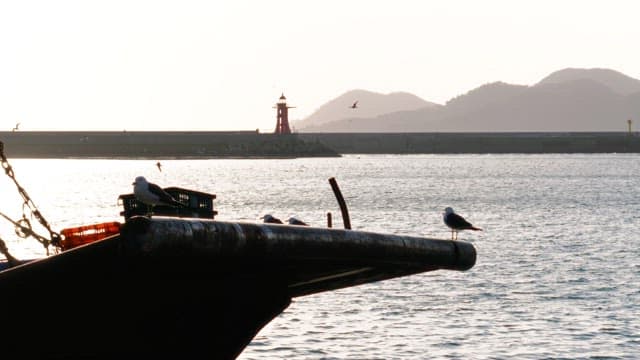 Seagulls resting on the boat with a lighthouse in the background
