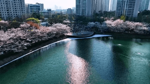 Enjoying Sunny Weather in Lake Park by the apartment