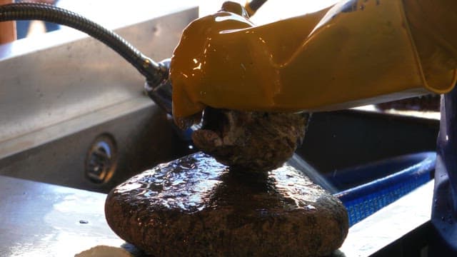 Cleaning a shell with a yellow glove under running water
