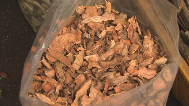 Close-Up of Dried Herbs in Transparent Bag