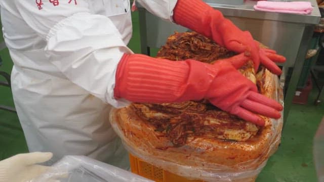 Person preparing and packaging traditional kimchi