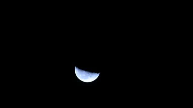Waxing Half Moon in a Starless Night Sky