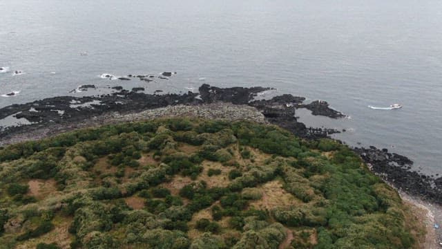 Rocky coast of Jeju Island surrounded by basalt