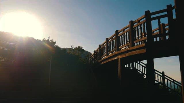 Wooden Stairway in Sunlit Forest