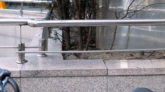 Sparrows perched on a metal railing