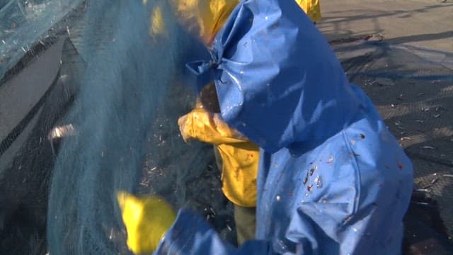 Fishermen cleaning fishnets at a harbor