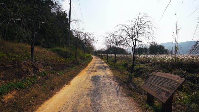 Quiet, deserted path in rural nature