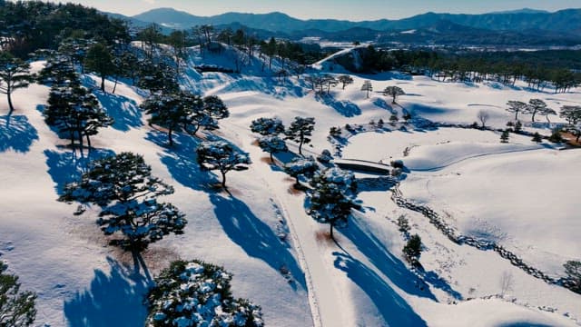 Snowy Landscape with Ponds and Trees