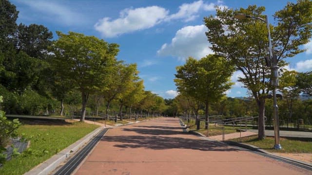 Sunny Park Pathway with Trees and Lamp Posts
