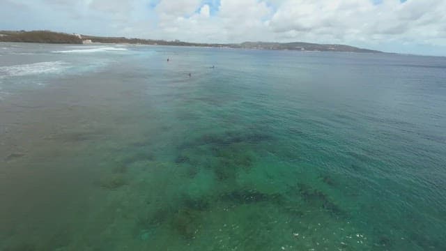 People surfing in the clear ocean