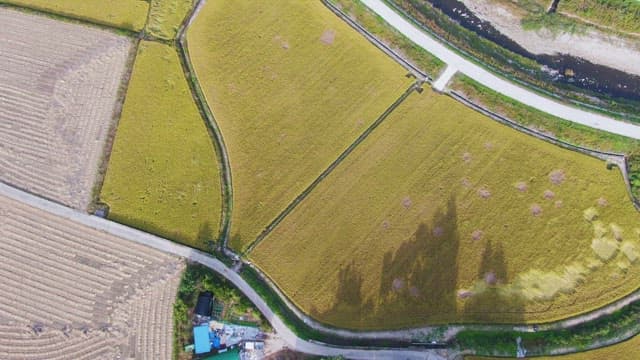 Expansive farmland with golden fields