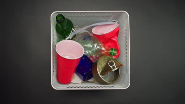 Assorted Waste in a Recycling Bin