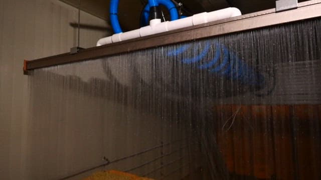 Industrial cultivation facility where water is sprayed to germinate bean sprouts