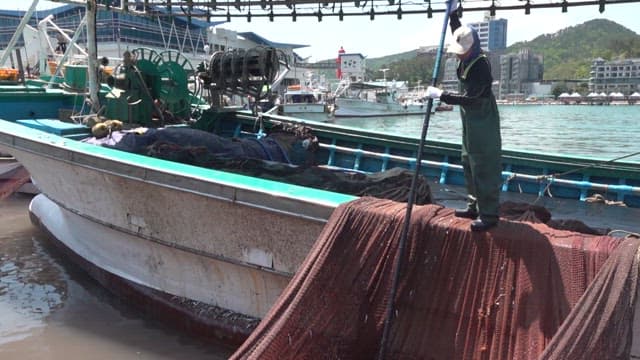 Fisherman Sorting Catch on Boat at Harbor