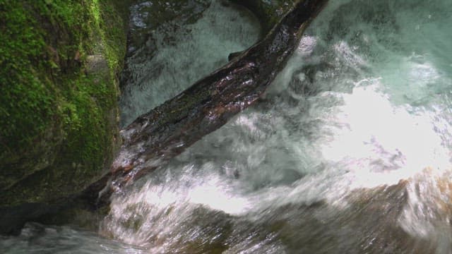 Flowing stream over mossy rocks