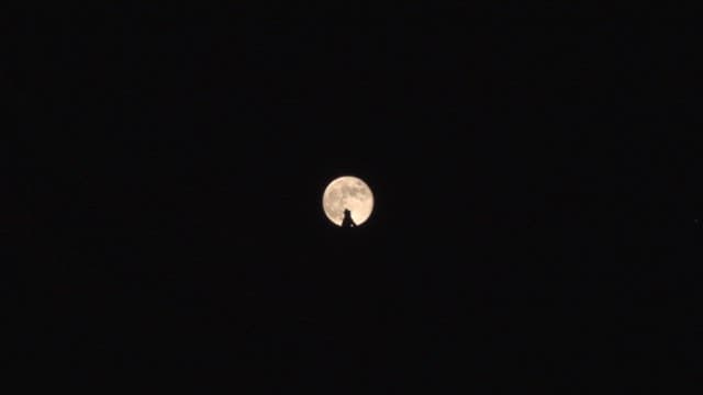 Silhouette of a statue under a full moon in the dark of night