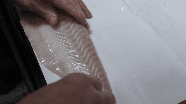 Preparing fish on a kitchen countertop
