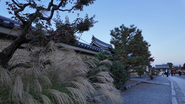 Traditional stone wall road with visitors