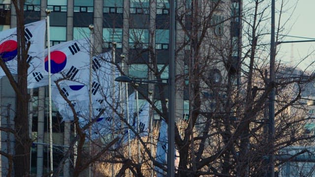 National Flags Fluttering outside Modern Buildings