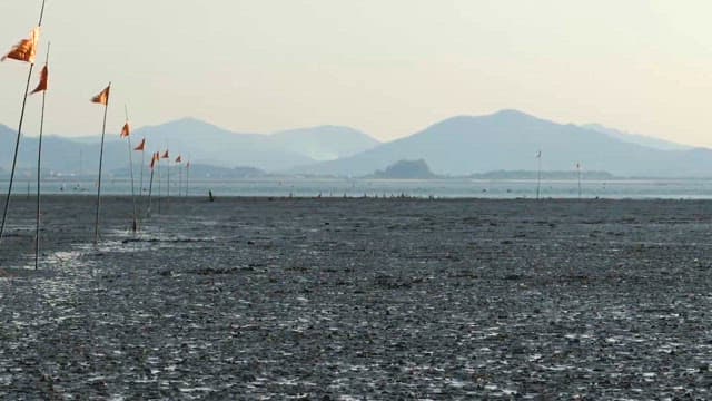 Flags Marking a Mudflat with Mountains Afar