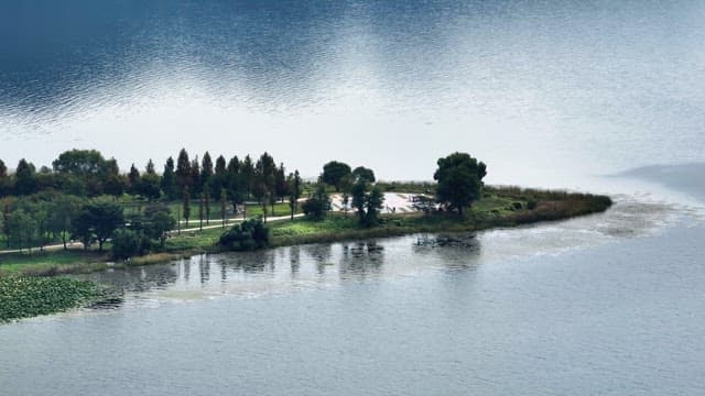 Serene lakeside park with trees
