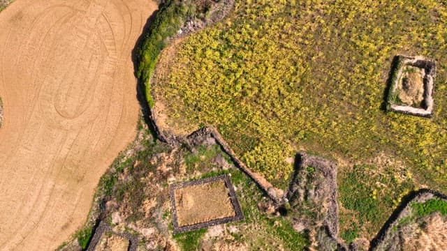 Aerial view of farmland with fields and crops