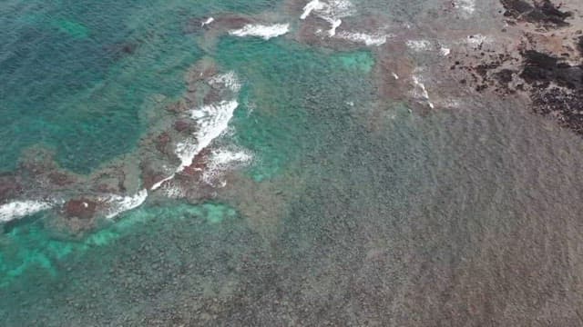 Wind power generator on a beach with a blue sea