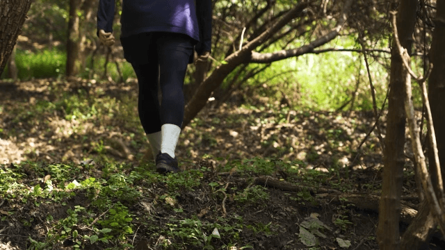 Person Walking Through a Sunlit Forest