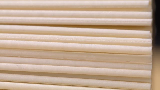 Close-up of stacked white noodles