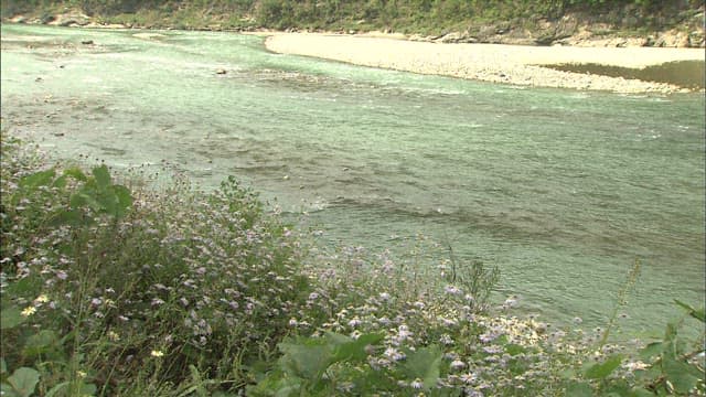 River with gently flowing water