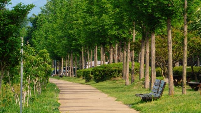 Person walking a bicycle along a tree-lined path in a park on a sunny day