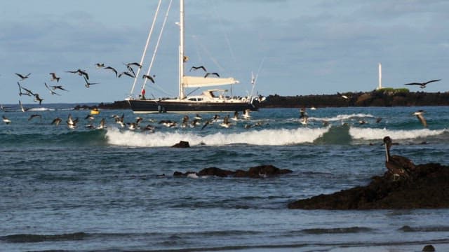 Sailing Yacht Anchored by a Coastal Lighthouse