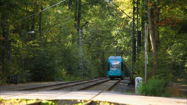 Blue tram moving through a lush forest