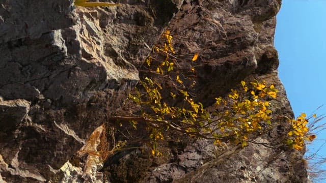 Rocky Cliffside Overlooking a Coastal Town
