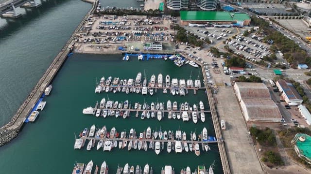 Bustling marina with numerous yachts