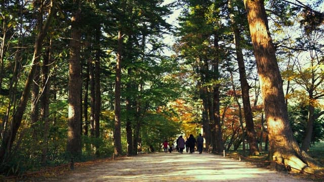 People walking through a serene forest with autumn colors