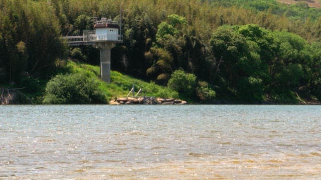 Riverside view with thick green forest and calm water