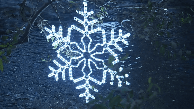 Illuminated Snowflake Decoration on Tree