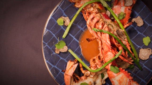 Gourmet dishes elegantly presented on plates