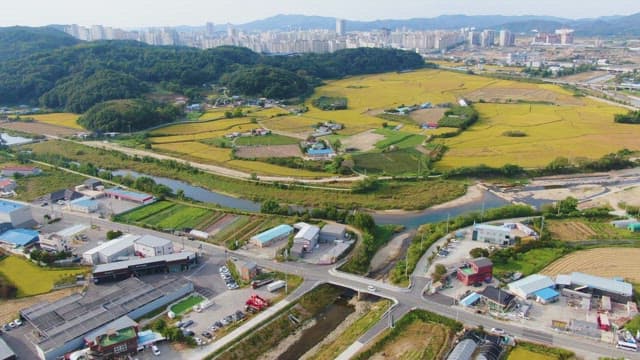 View of rural farmland and a city