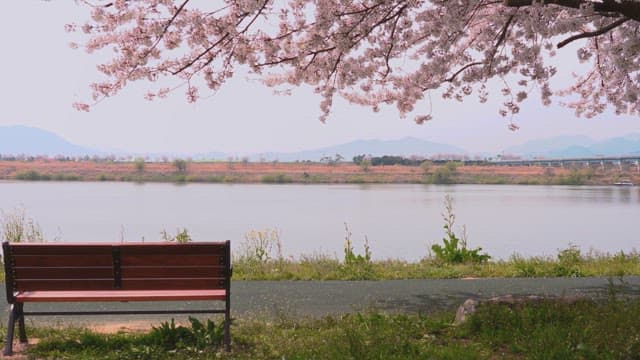 Serene Park Bench Overlooking a River