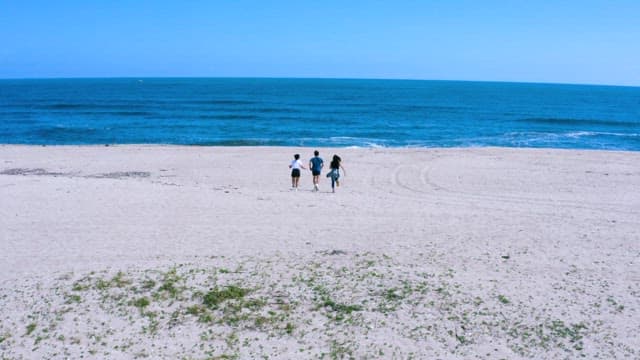 Friends Walking by the Seashore on a Sunny Day